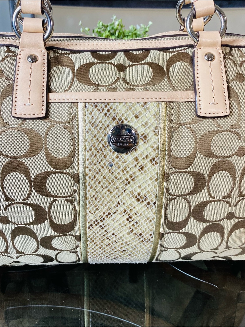COACH Signature Khaki Jacquard Python Stripe Satchel Handbag F24884 - Picture 4 of 13